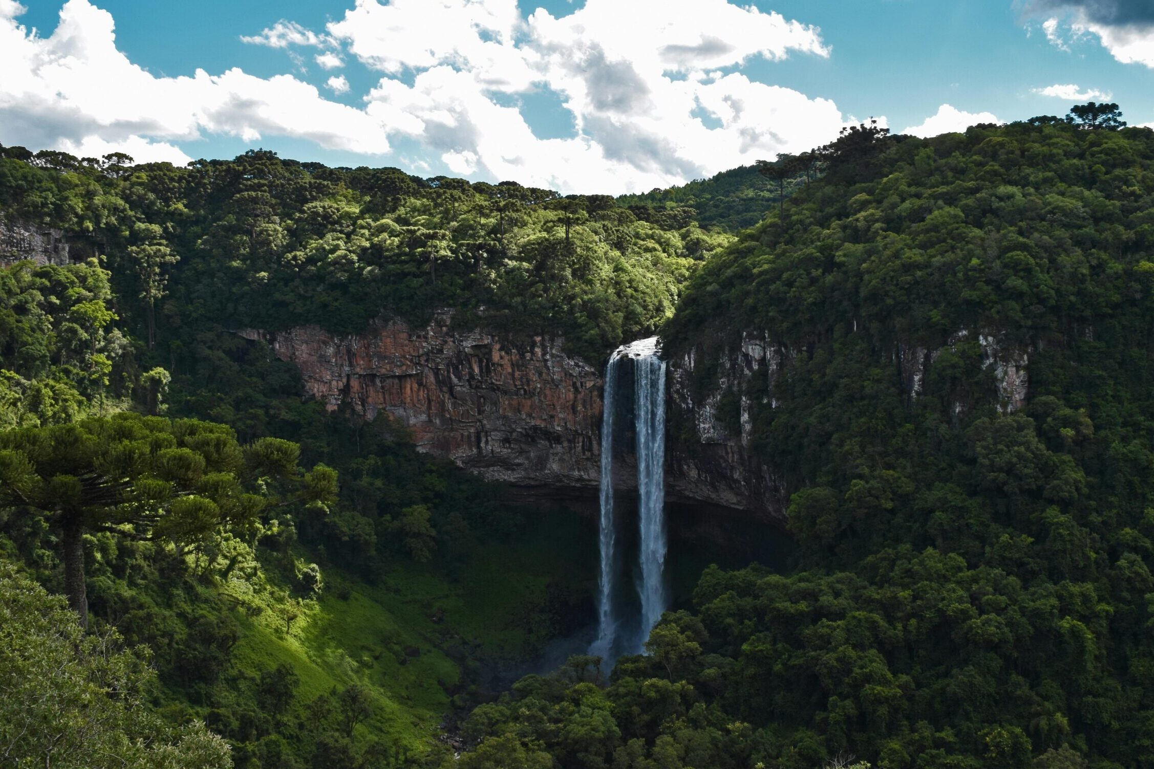 pexels-renanbomtempo-772481